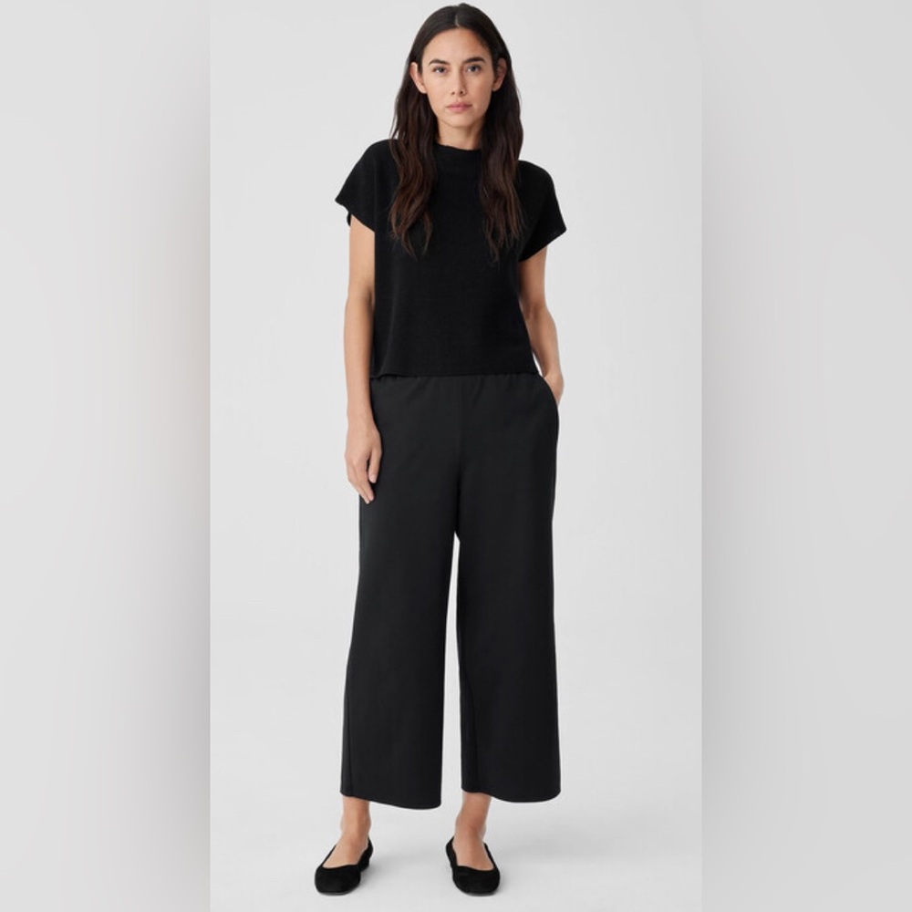 Eileen Fisher cropped wide leg black tencel pants Sz M